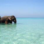 Havelock Island