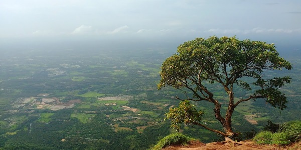 Nelliyampathi Kerala