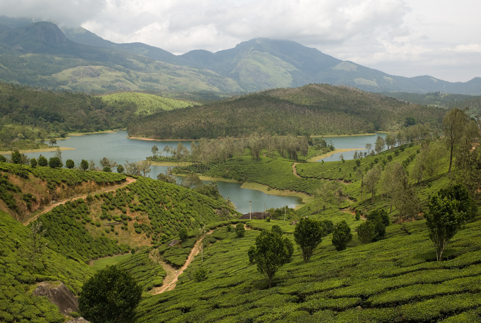 virgin beauty of yelagiri