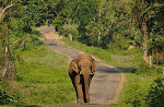 valparai