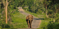 valparai